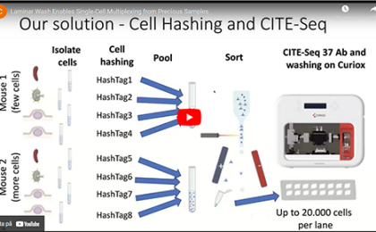 Single-cell-samples-prep-cell-hashin-and-CITE-Seq